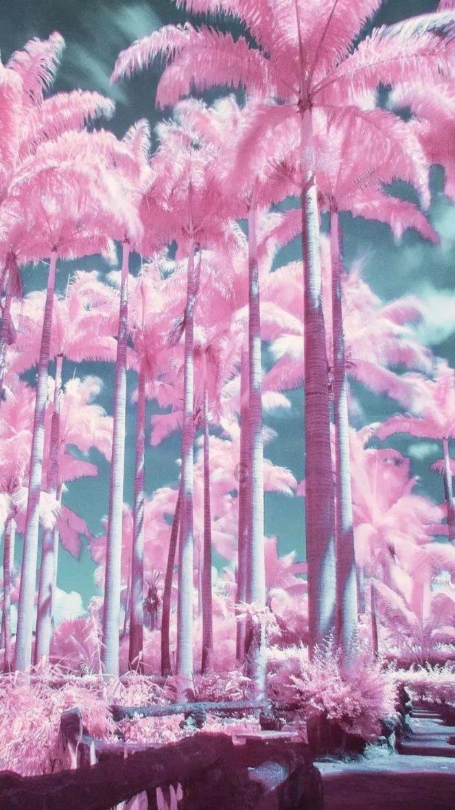 恶灵附身2